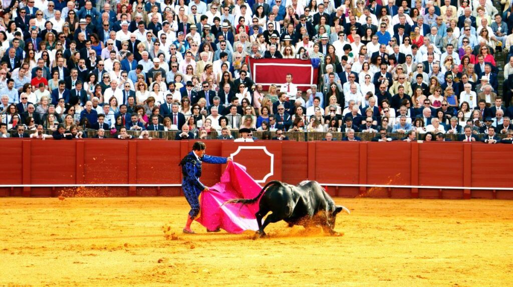 bull fight spain