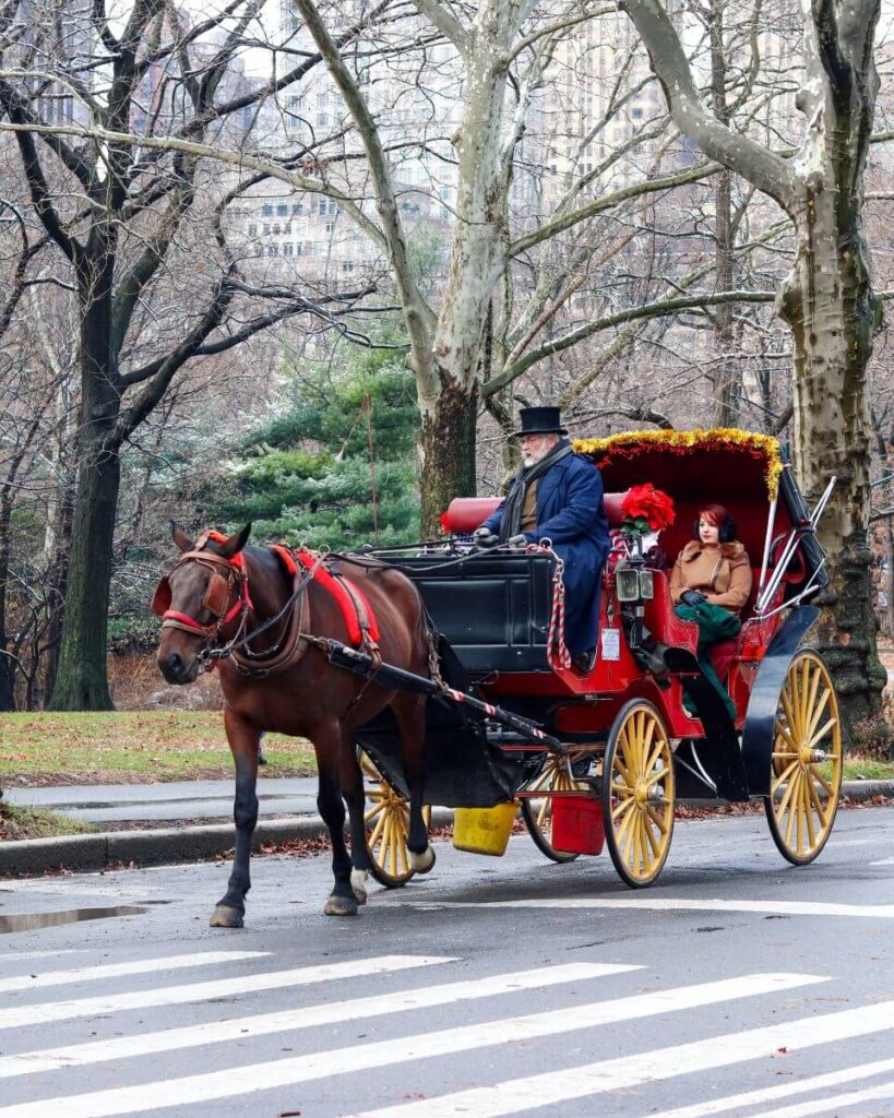 horse and carriage ride